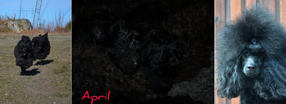 april14