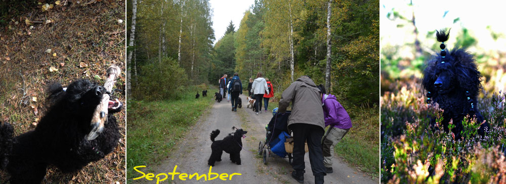 sept14
